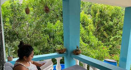 Room-bed-breakfast Lunch Tropical Priva