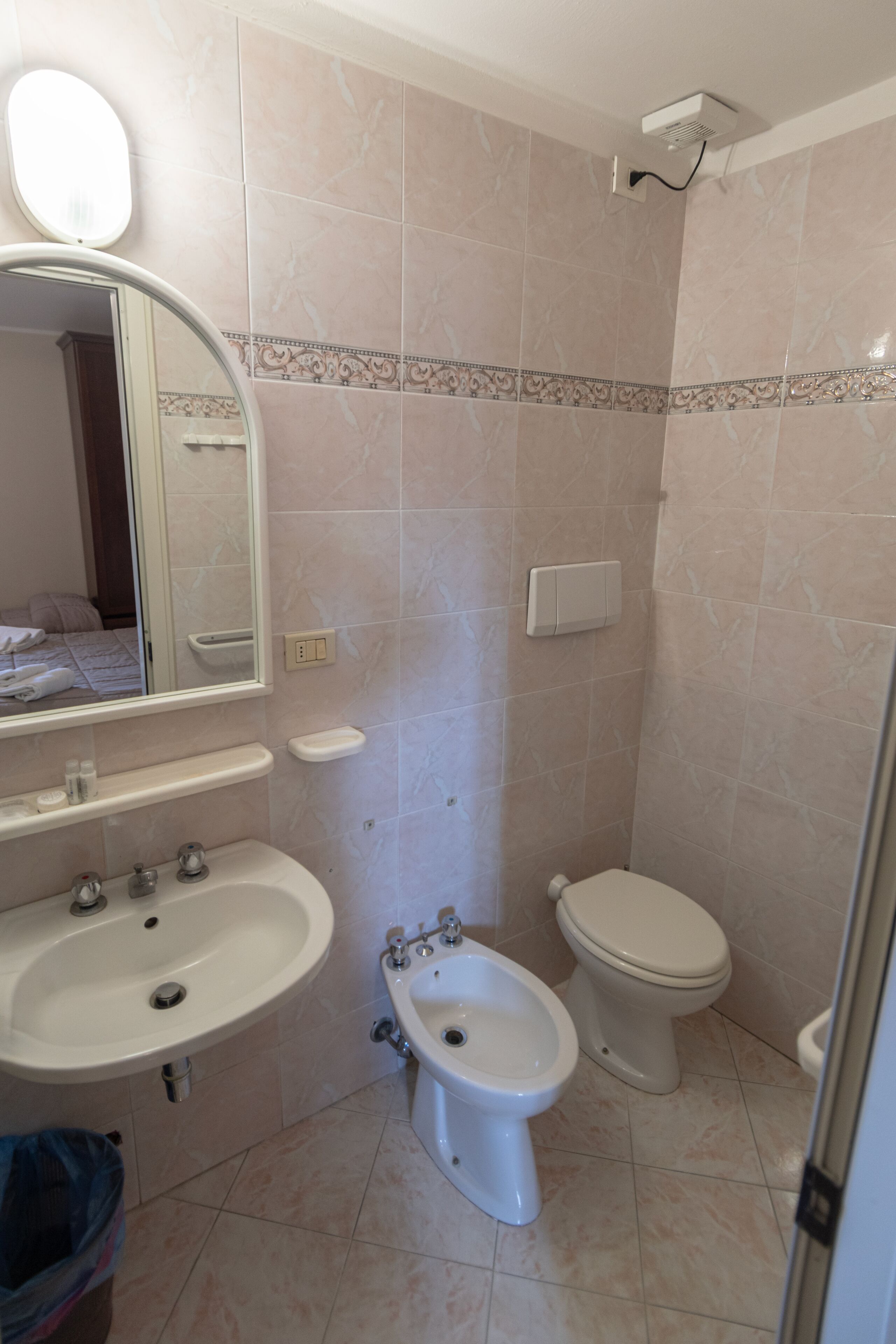 A bathroom with a sink, bidet, toilet, mirror, and a showerhead.
