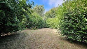 Um jardim com gramado cercado por vegetação densa.