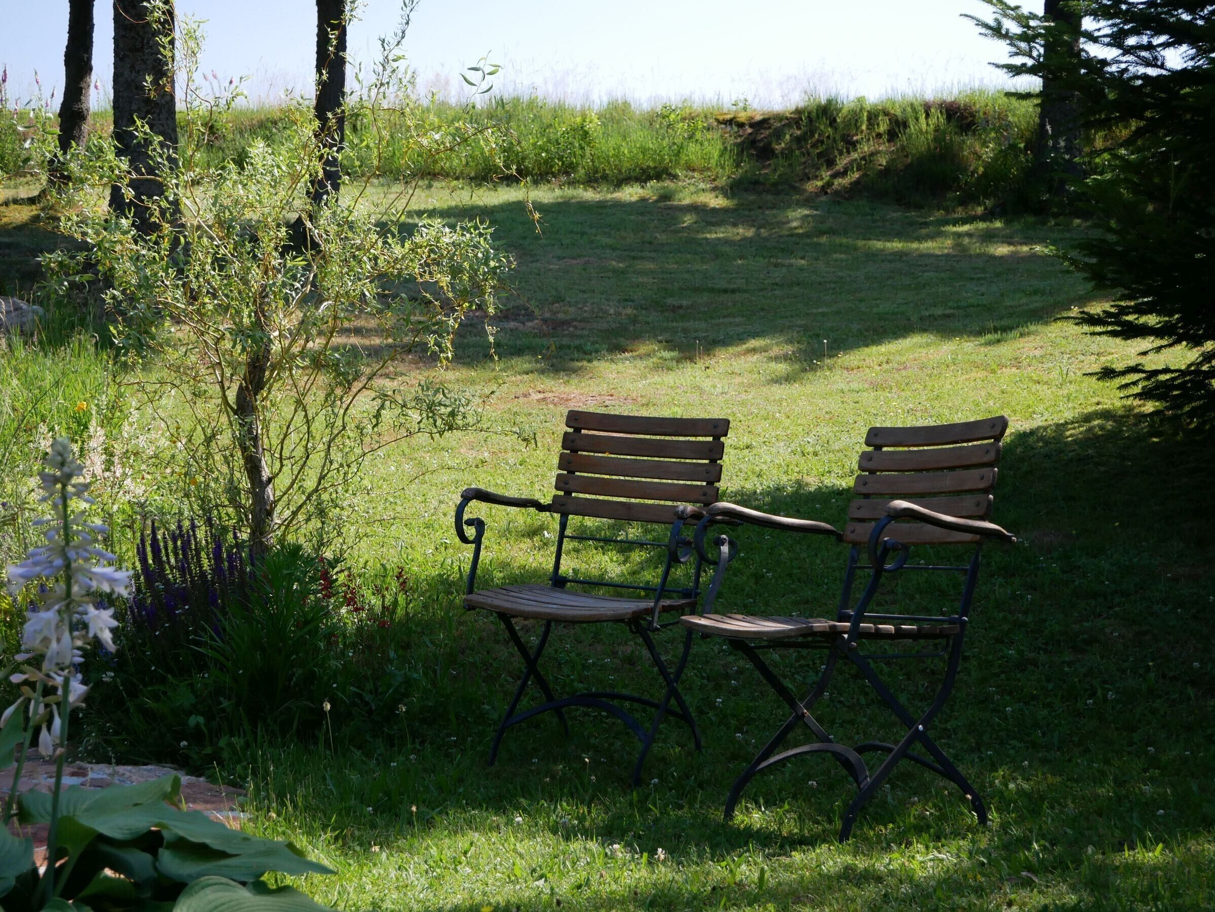 Two wooden park benches with metal frames, positioned on a grassy area with trees and shrubs in the background.