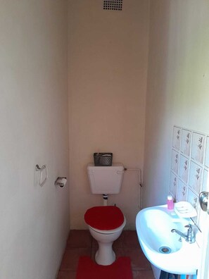 Shower, towels, soap, toilet paper