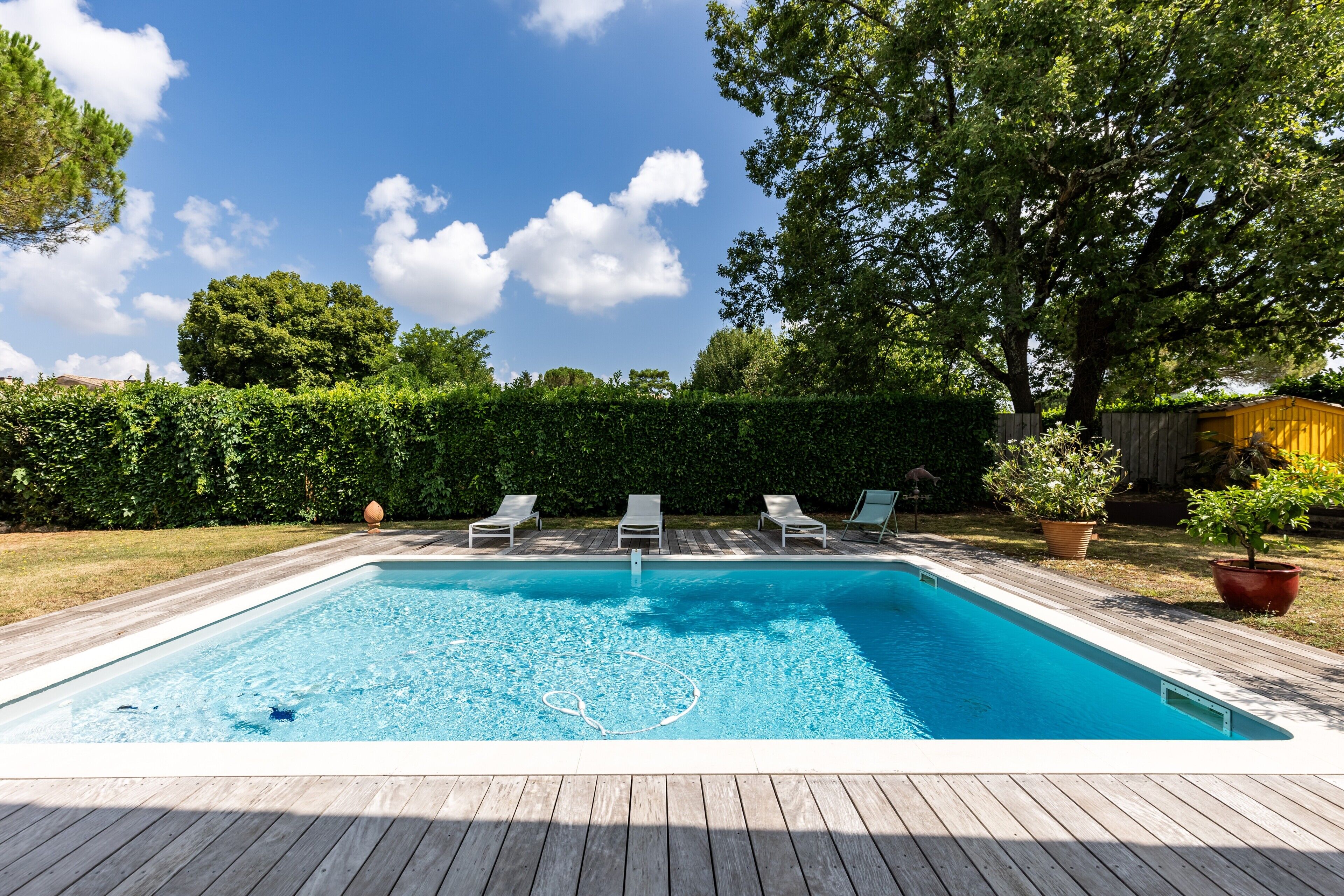 Ein rechteckiger Pool mit einer Holzterrasse, umgeben von einer Hecke und Bäumen.