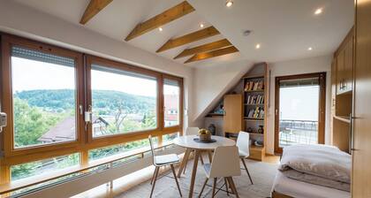 Modern Glass Front Apartment With Amazing View B17