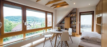 Modern Glass Front Apartment With Amazing View B17