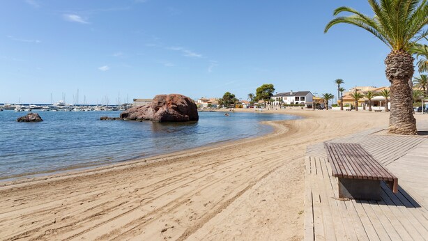 Une plage avec un banc en bois, un palmier et un affleurement rocheux dans l’eau.