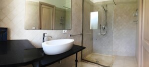 Shower, hair dryer, towels