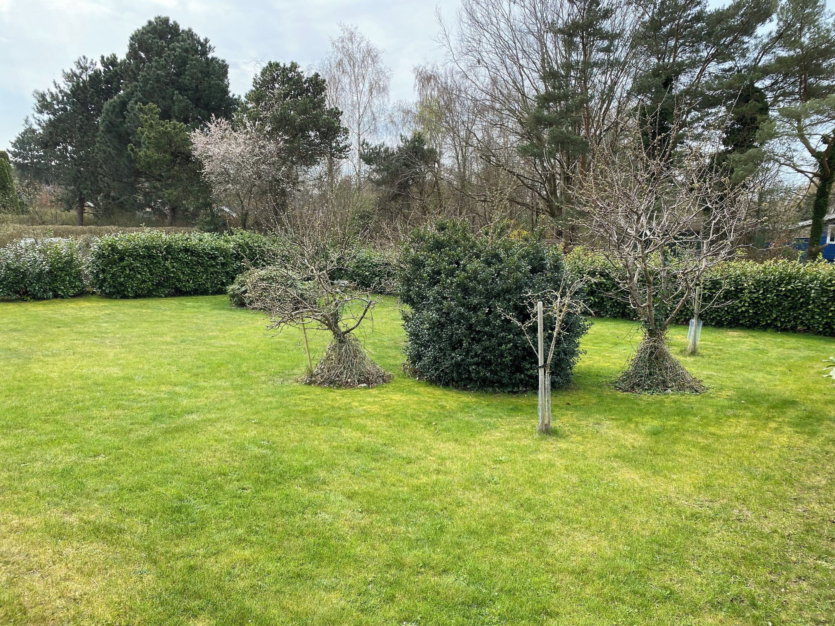 Un jardin bien entretenu, avec des haies taillées et une variété d’arbres.