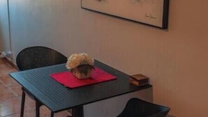 Un coin repas comprenant une table, des chaises et un tableau représentant un arbre accroché au mur.