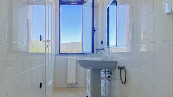 Shower, hair dryer, bidet, towels