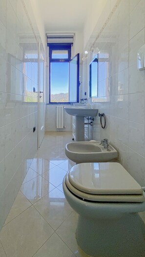 Shower, hair dryer, bidet, towels