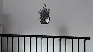 Ein Zimmer mit weißer Wand, einer hängenden Pflanze und einem Bett mit kariertem Überwurf.