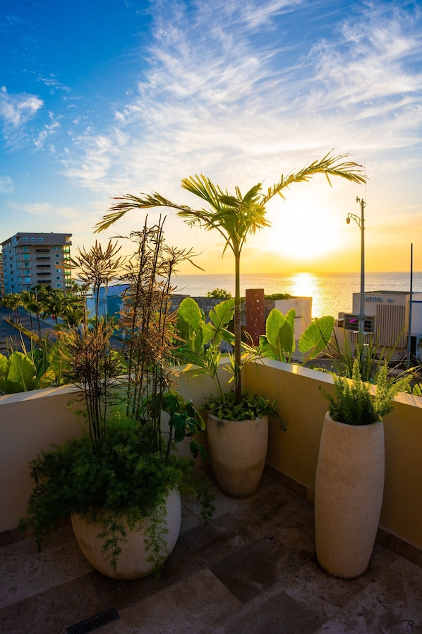 Jardines del alojamiento