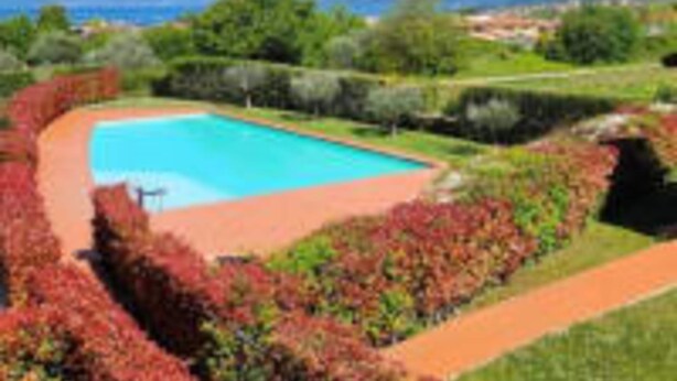 A pool surrounded by landscaped gardens with a view of distant mountains. - Apartment 'Miralago Pool Lazise' with Private Pool, Wi-Fi and Air Conditioning (Lazise)
