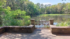 A stone bridge leading to a pond surrounded by lush greenery. - Casa confortable y de descanso. (Jacksonville)