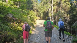 Three people hiking on a dirt path surrounded by dense greenery and trees. - Casa Priula (Albaredo per San Marco)
