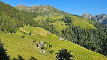 Facciata della struttura