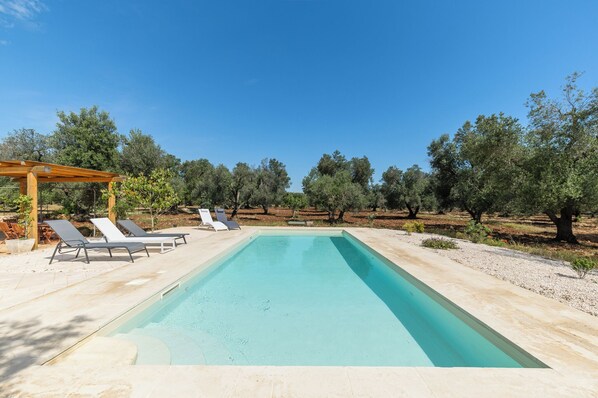Piscina retangular com pergolado e espreguiçadeiras em área ajardinada com oliveiras.