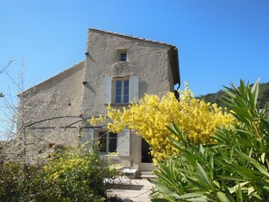 A stone building with a window and a door, surrounded by greenery and yellow flowers.