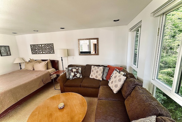 TV, fireplace, books, stereo