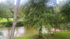 A river with a grassy bank and trees.