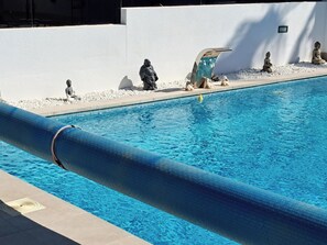 Outdoor pool, a heated pool