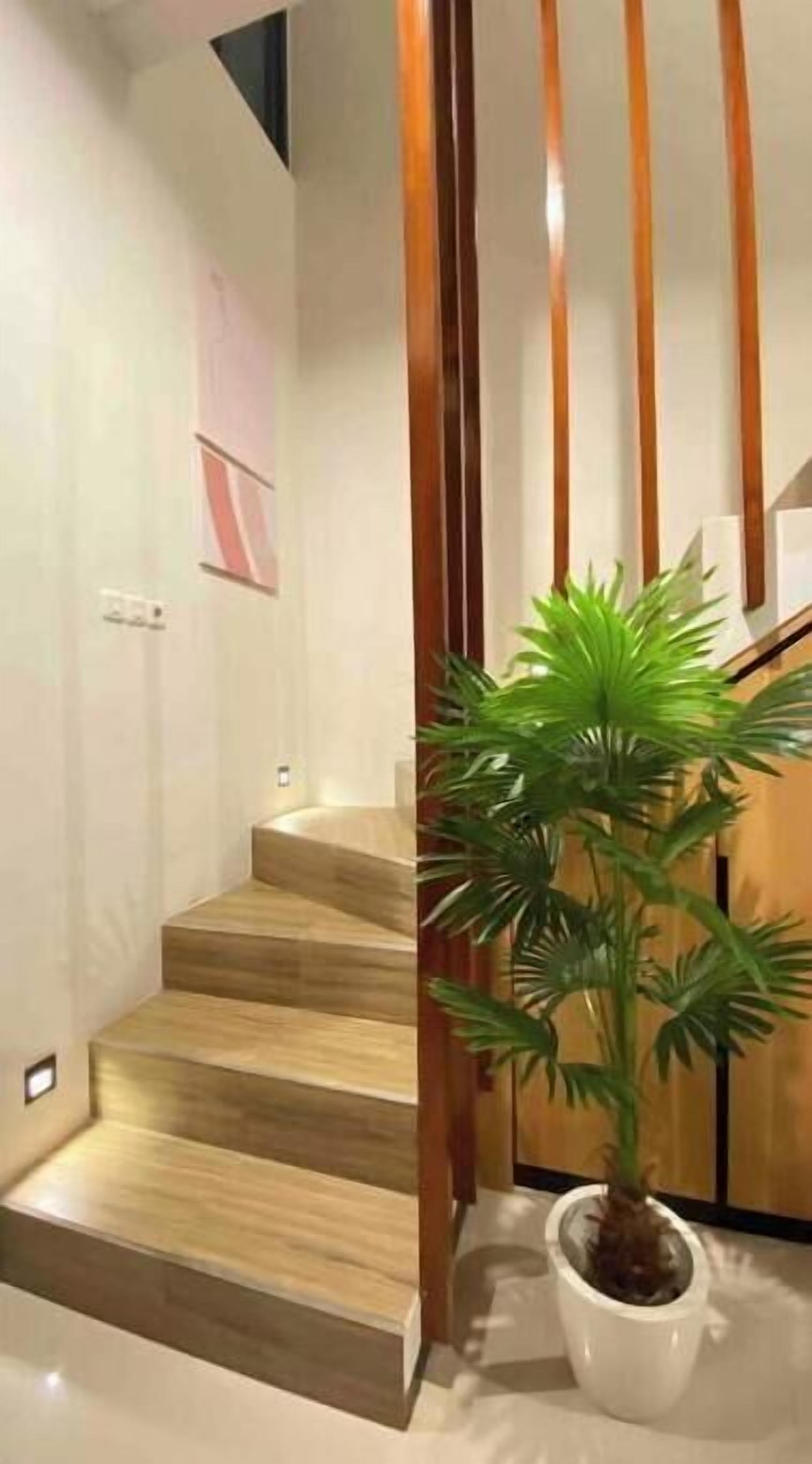A staircase with wooden steps and a potted plant at the bottom.