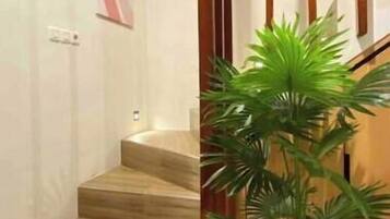 A staircase with wooden steps and a potted plant at the bottom.