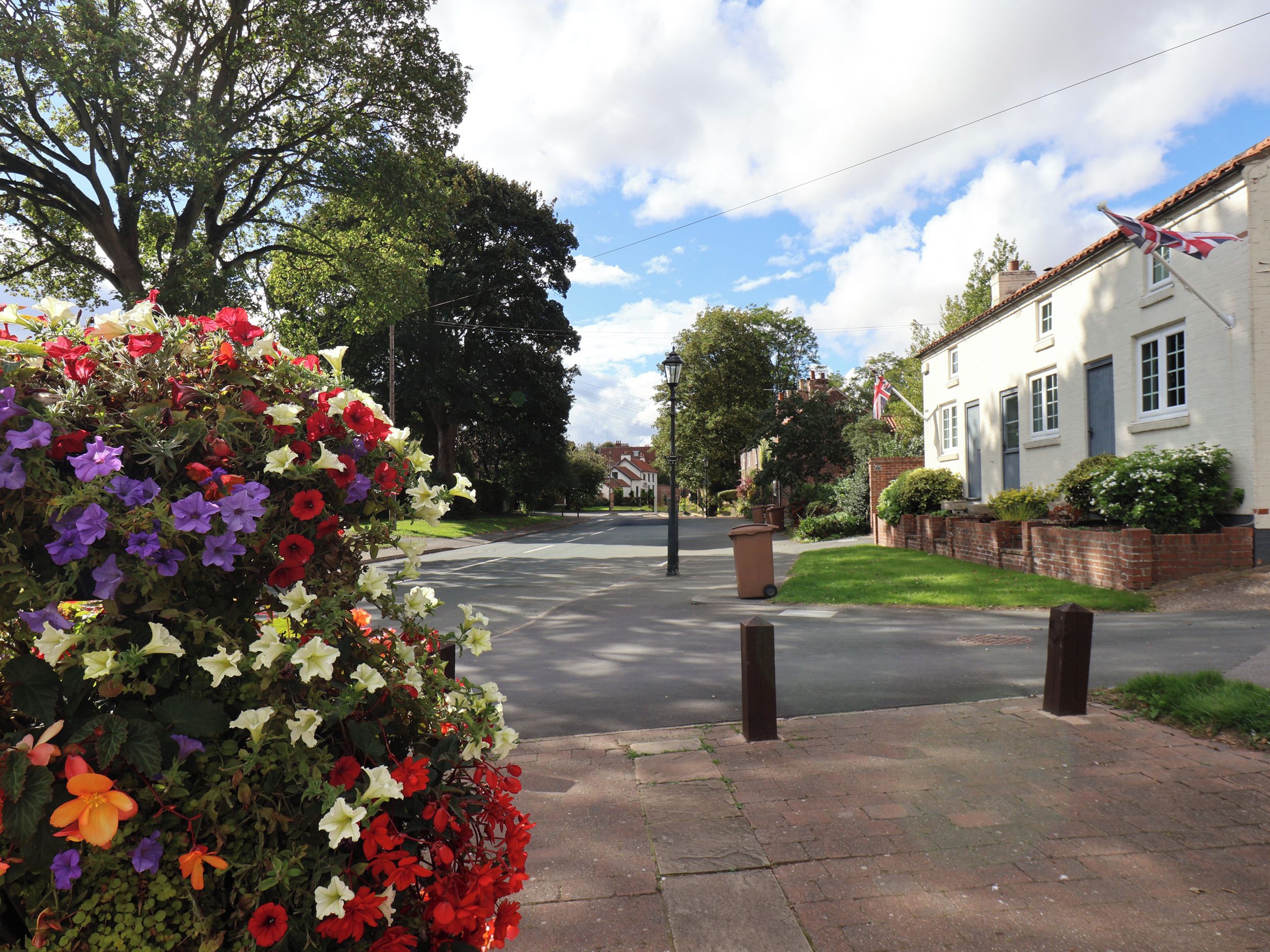 A residential street with a row of houses, a flower bed with various flowers, and a clear sky.
