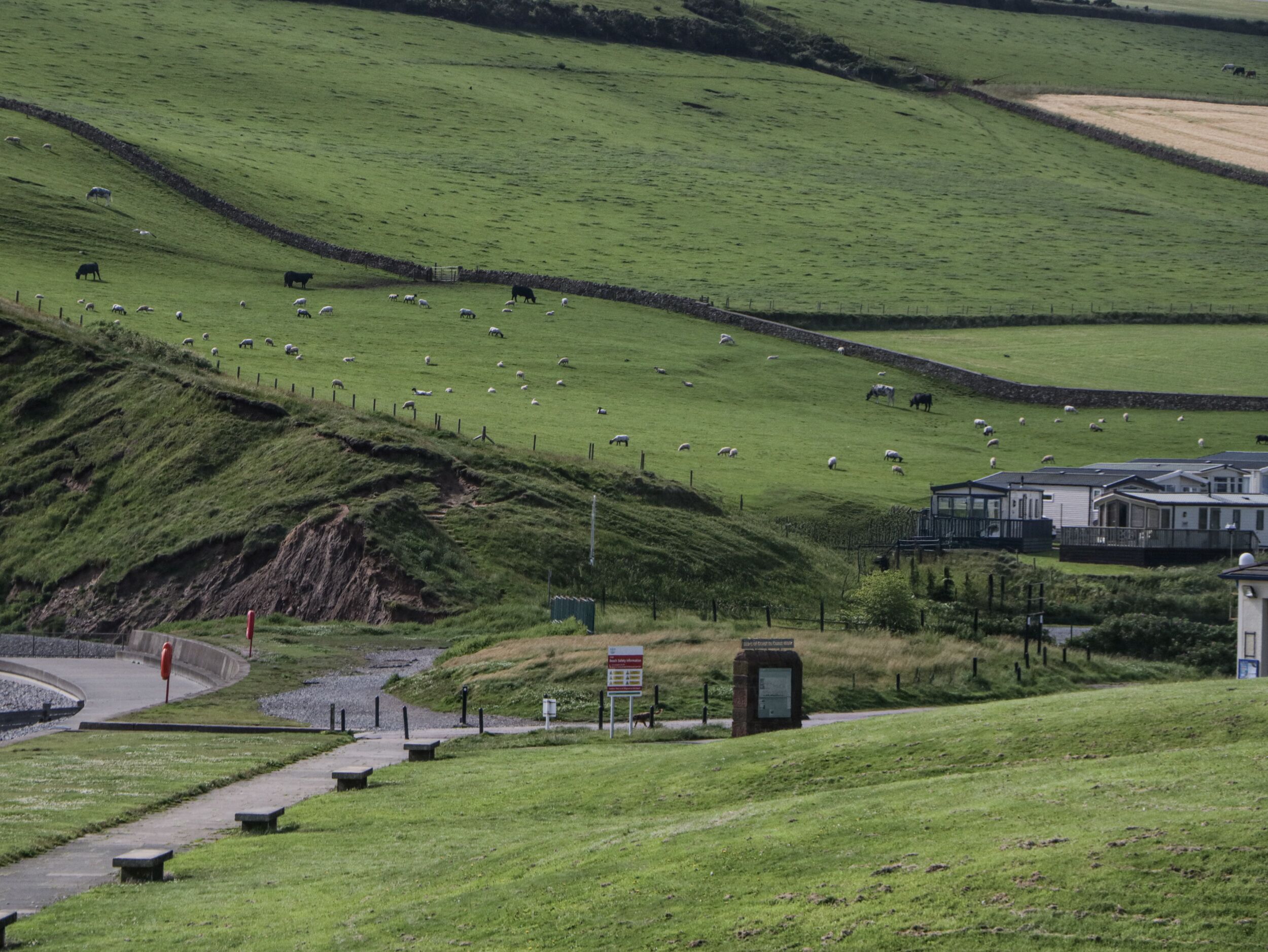 A rural landscape with a road curving through a green field, a small building, and a fenced area with sheep.
