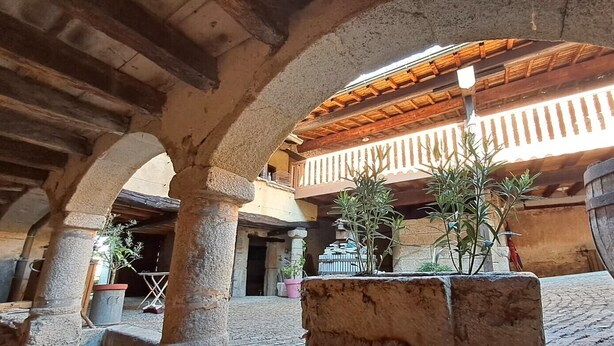 An interior courtyard with stone arches, wooden beams, and potted plants. - La Thibaude - Vigeronne house near Lyon (Charly)