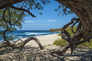 Eine Strandansicht mit einem großen Baum im Vordergrund und dem Meer im Hintergrund.