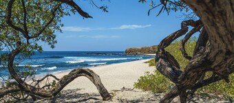 New 2BR w/ Pool, Walk to Beach