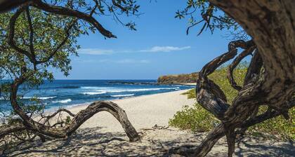 New 2BR w/ Pool, Walk to Beach