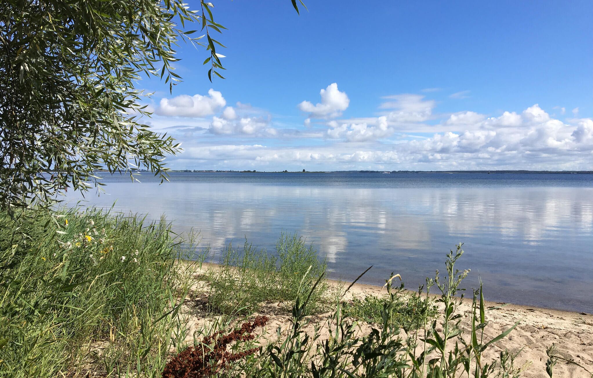Un lac paisible, bordé d’une plage de sable et doté d’une végétation clairsemée.