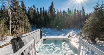 Spa & Game room - Chalet du Loup