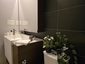 Secador de cabelo, toalhas de banho, sabonete, shampoo