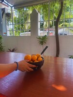 Una persona sostiene un cuenco de naranjas sobre una mesa de madera, con vista a la vegetación y una baranda de metal.