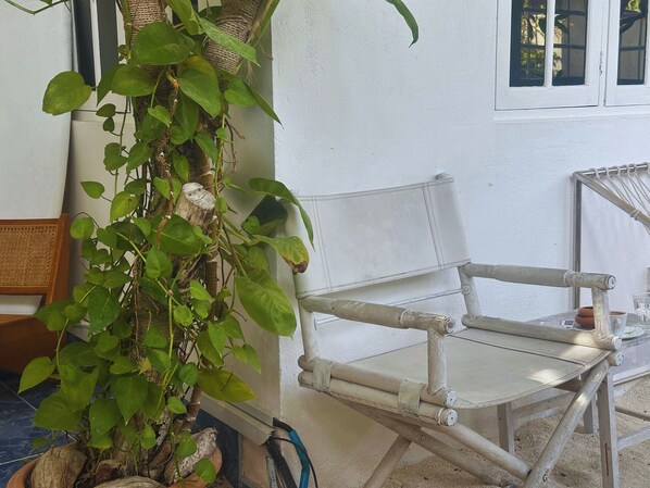 Una silla blanca con estructura metálica, una planta en maceta con hojas verdes y una ventana con marcos blancos.