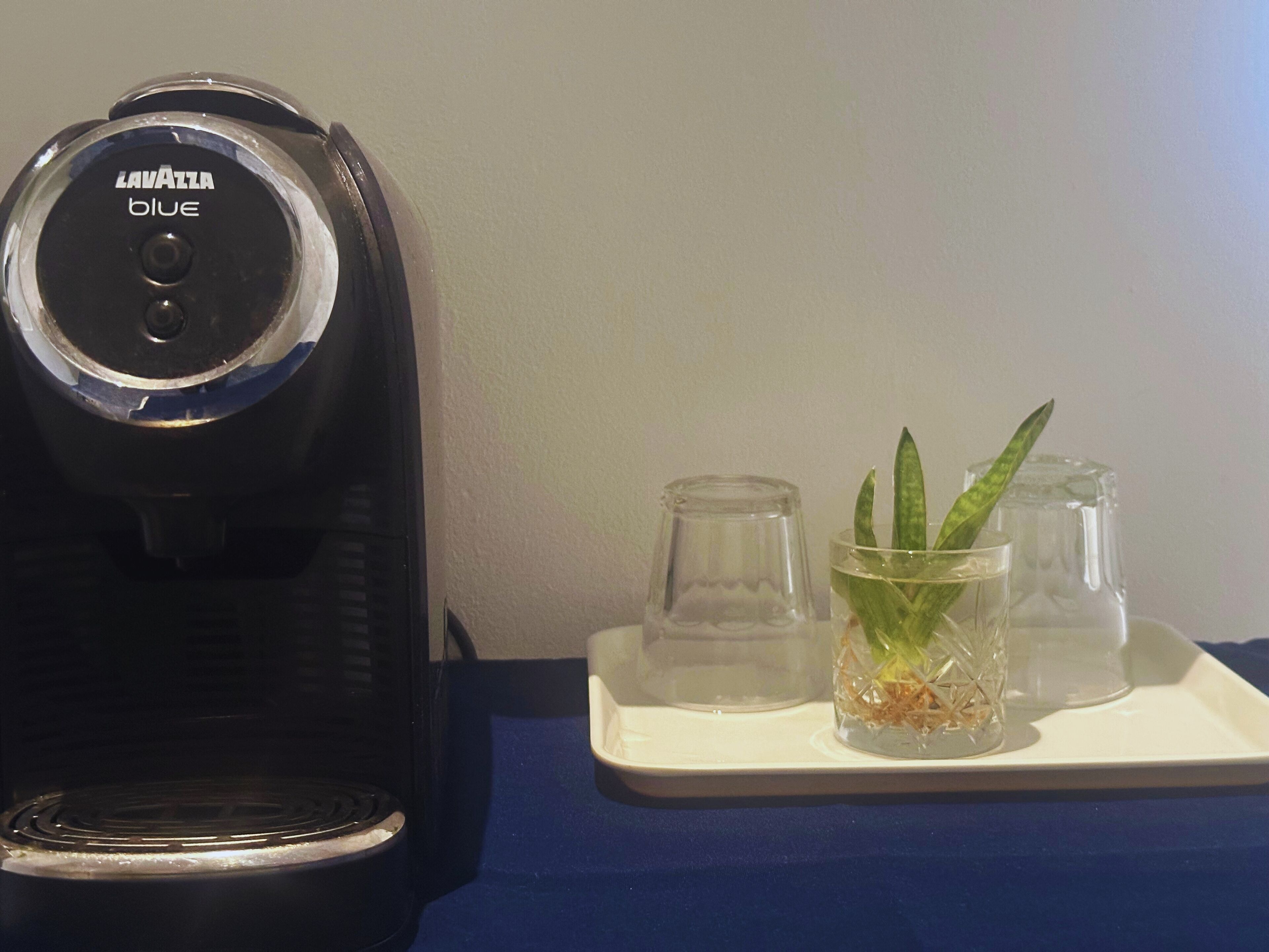 Eine Kaffeemaschine mit dem Aufdruck 'Lavazza blue' auf einem blauen Tisch, zusammen mit einer Ablage, auf der zwei Gläser und eine kleine Pflanze stehen.