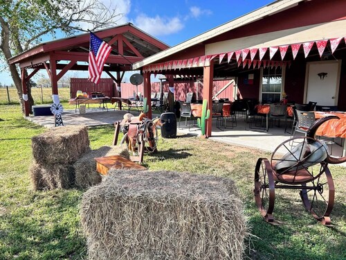 Serene Retreat at Garza’s Ranch - Ponies & Cows