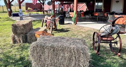 Serene Retreat at Garza’s Ranch - Ponies & Cows
