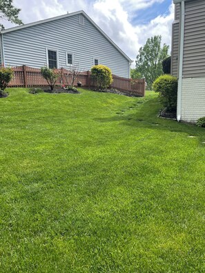 Property grounds - Charming 2 levels guest unit in a house in amazing lake ridge area. (Woodbridge)