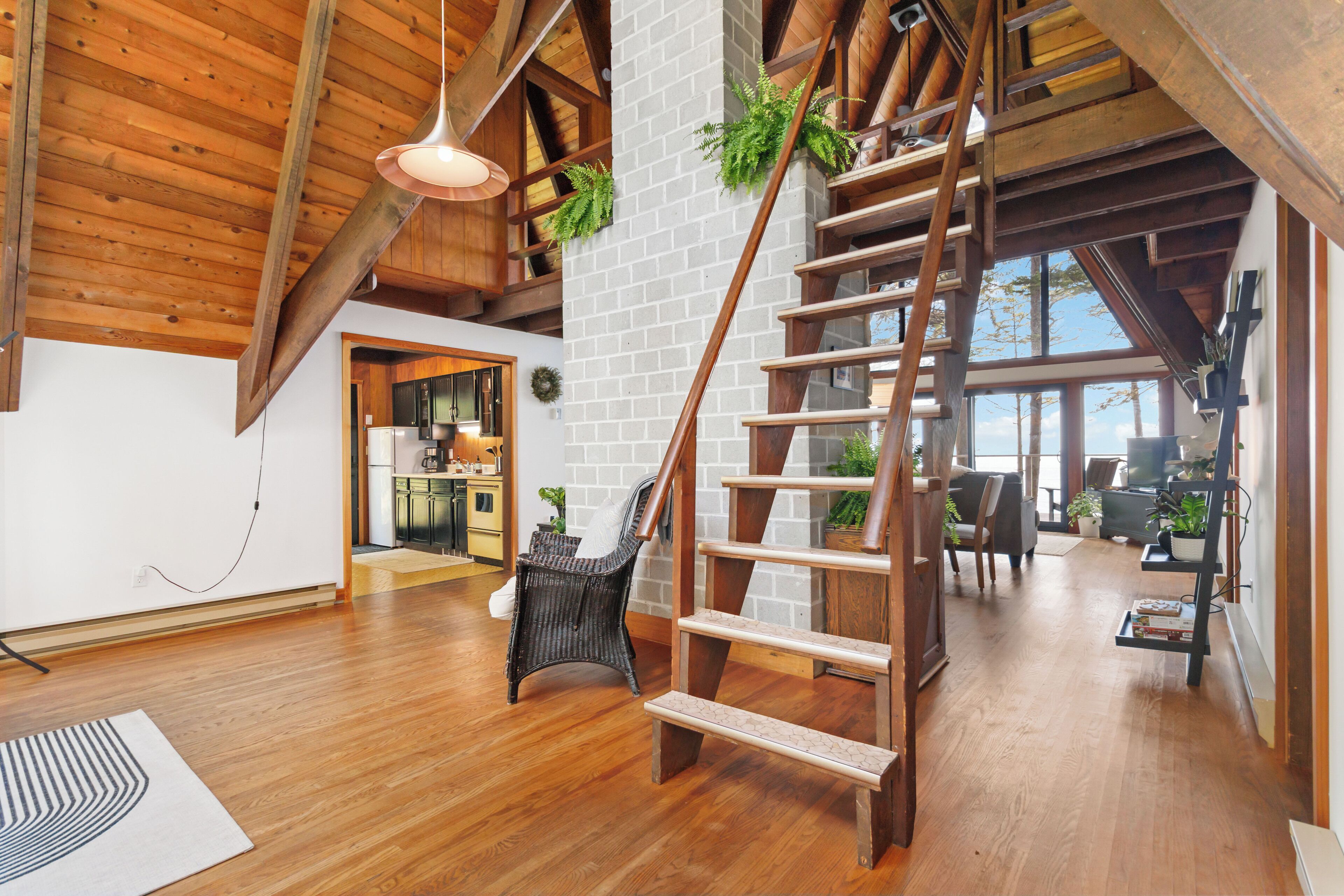 Télévision, cheminée, lecteur de DVD, livres