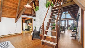 Télévision, cheminée, lecteur de DVD, livres