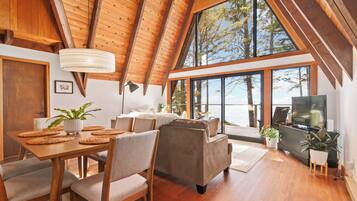 Télévision, cheminée, lecteur de DVD, livres