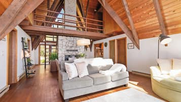 TV, fireplace, DVD player, books