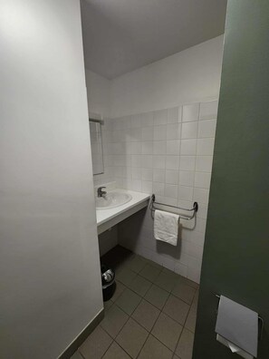 Klassieke tweepersoonskamer, uitzicht op tuin | Badkamer | Een douche, handdoeken, toiletpapier