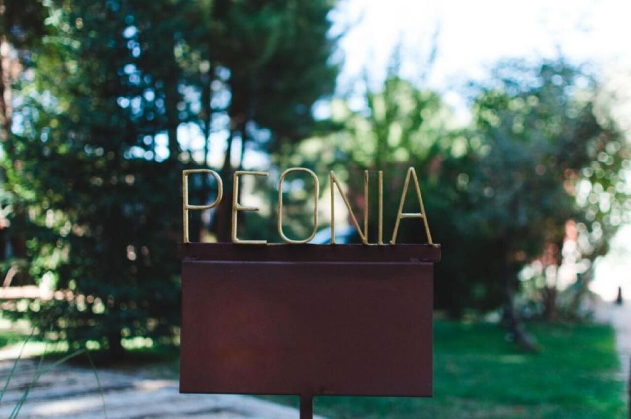 Foto - Hotel Boutique Pinar by Bossh! Hotels