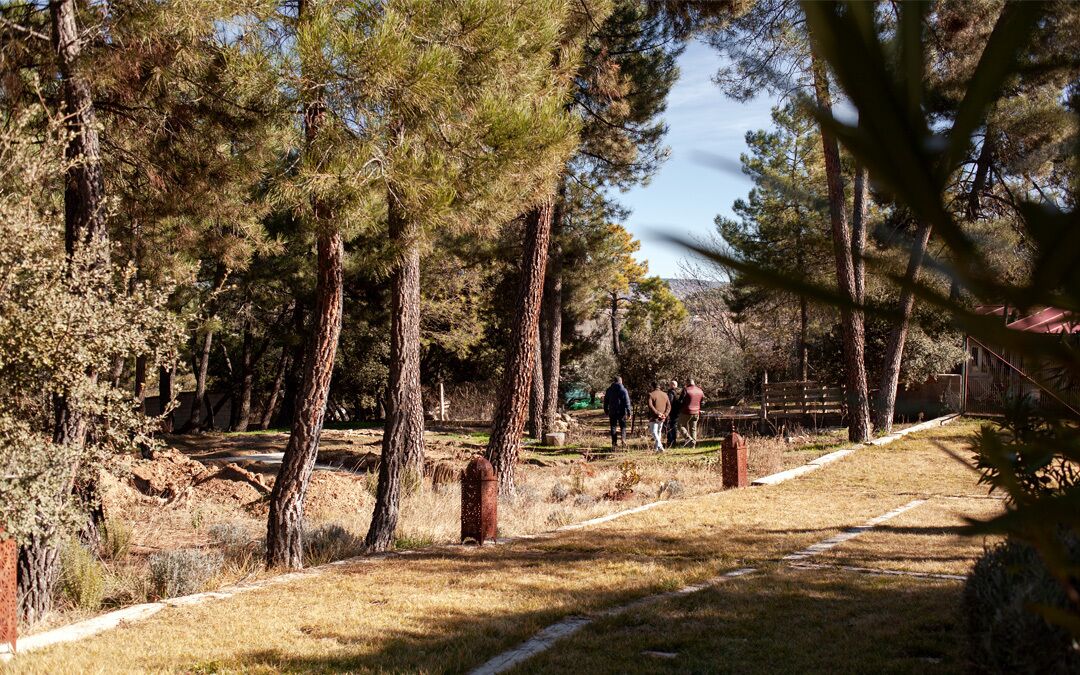 Zona boscosa con un sendero de tierra, árboles altos y una valla de madera.