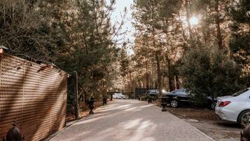 Un camino pavimentado que conduce a un área boscosa, con coches aparcados y una cerca a la izquierda.